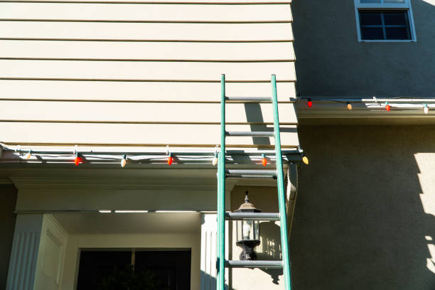 Best Stucco Siding  in Flat Rock, NC