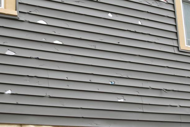 Best Historical Building Siding Restoration  in Flat Rock, NC