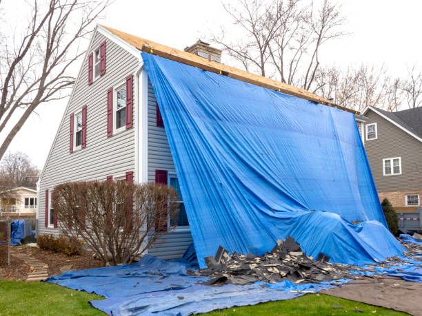 Best Storm Damage Siding Repair  in Flat Rock, NC