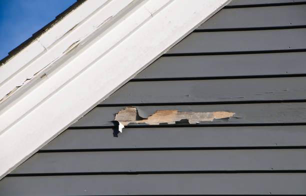 Best Residential Vinyl Siding Installation  in Flat Rock, NC