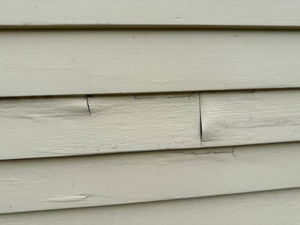 Best Stone Veneer Siding  in Flat Rock, NC